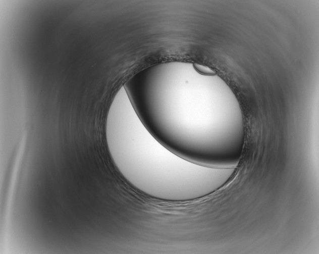 X0000094320033200711021121