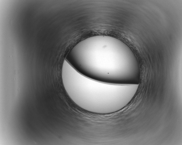 X0000094320040200711021121