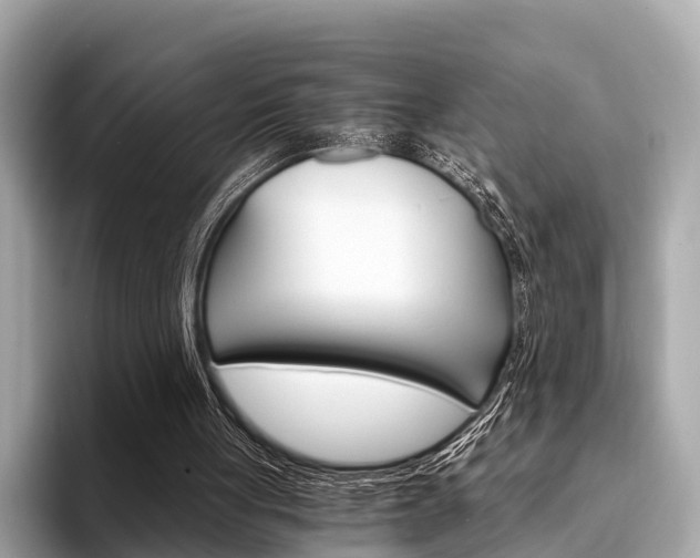 X0000094320051200711021120