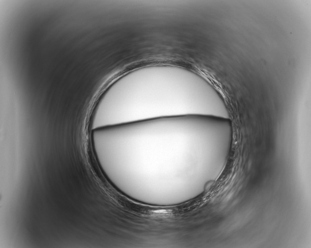 X0000094320053200711021120