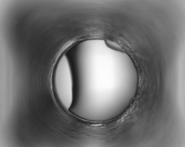 X0000094320054200711021120