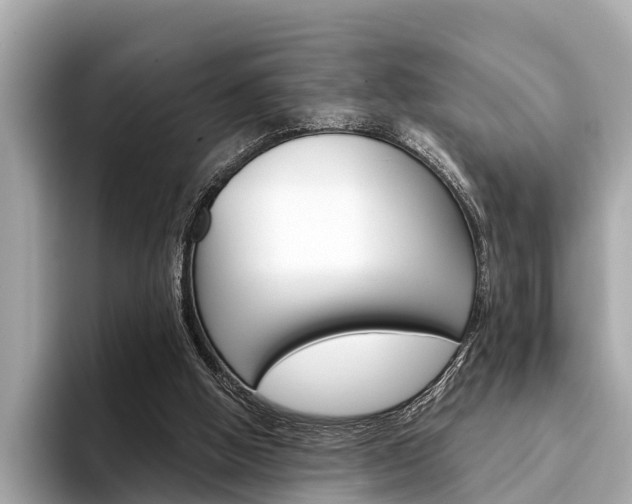 X0000094320058200711021120