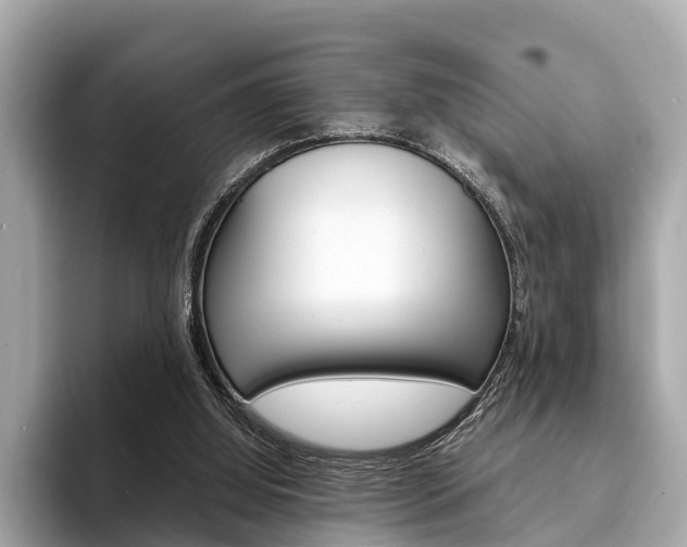 X0000094320060200711021120