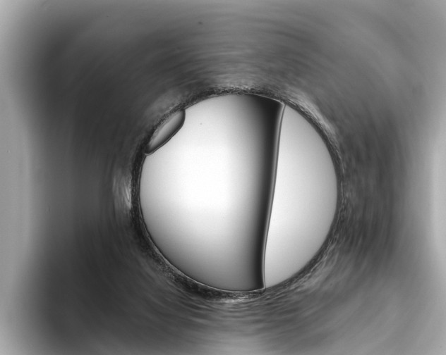 X0000094320068200711021120