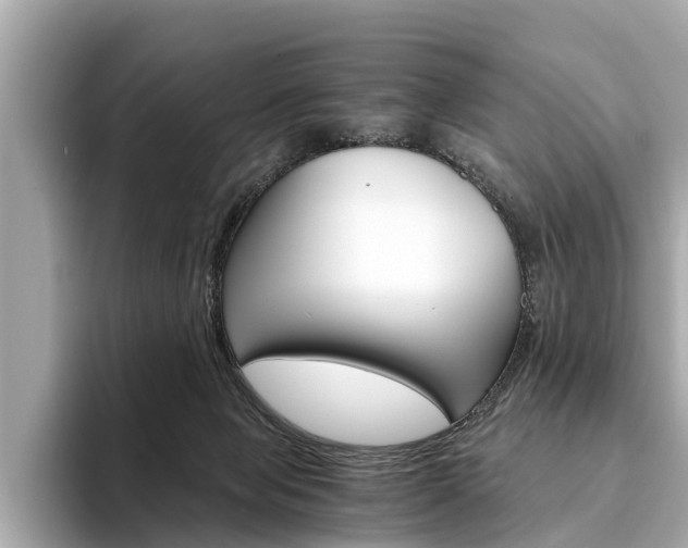 X0000094320077200711021120