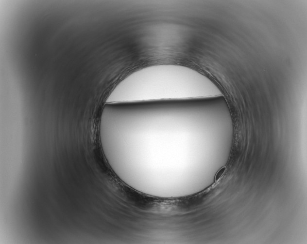 X0000094320078200711021120