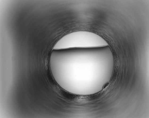 X0000094320082200711021121