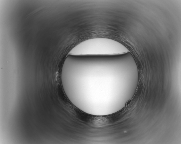 X0000094320087200711021121