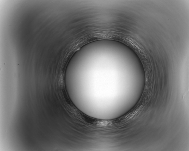 X0000094320096200711021121
