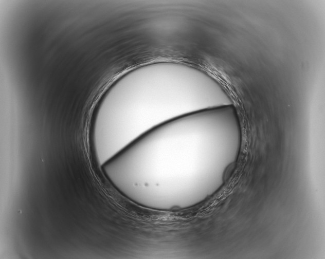 X0000094320098200711021120