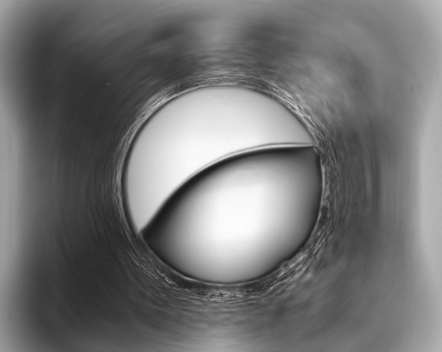 X0000094320099200711021120