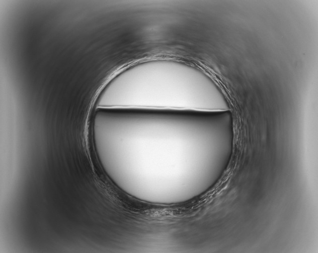 X0000094320100200711021120