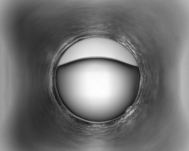 X0000094320101200711021120