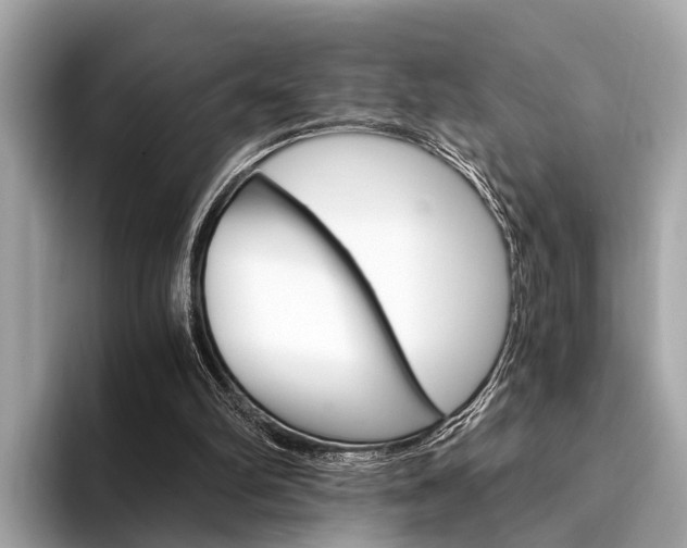 X0000094320102200711021120