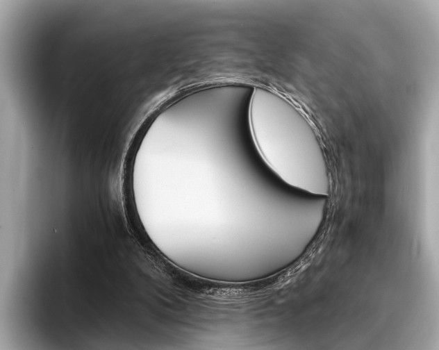 X0000094320104200711021120