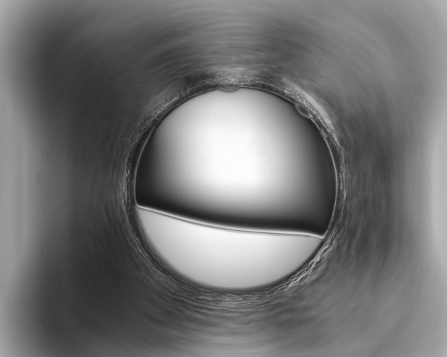 X0000094320105200711021120