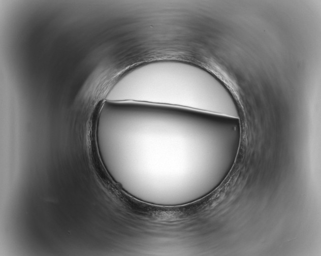 X0000094320107200711021120