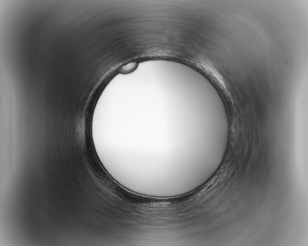 X0000094320108200711021120