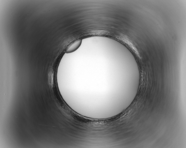 X0000094320110200711021120