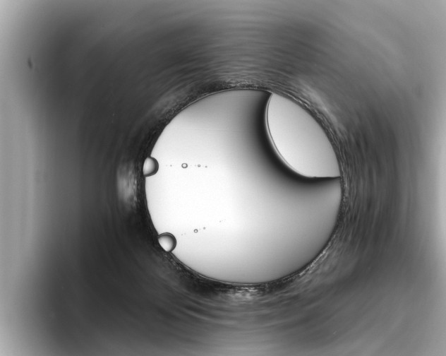 X0000094320124200711021120