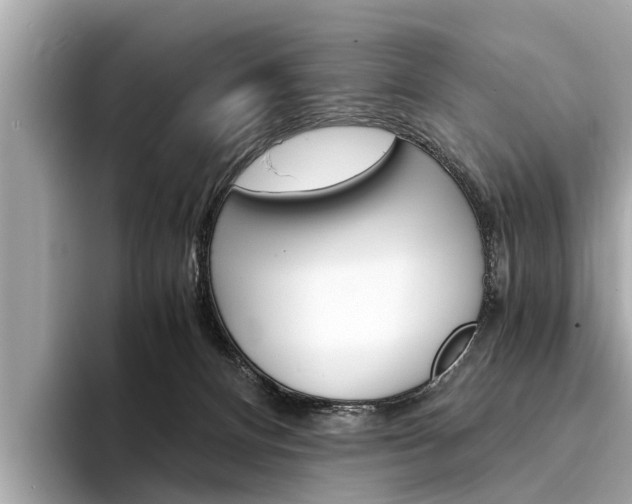 X0000094320128200711021120