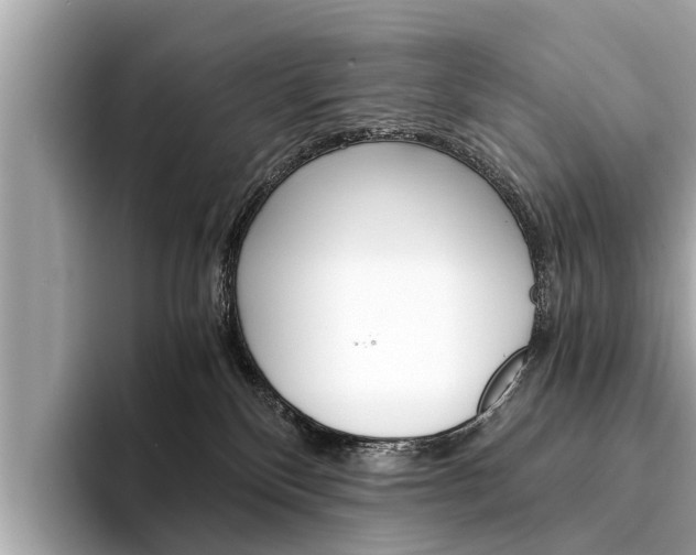 X0000094320136200711021120