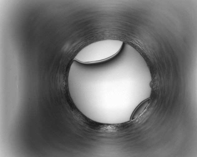X0000094320140200711021120