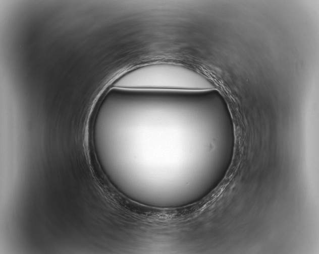 X0000094320148200711021119