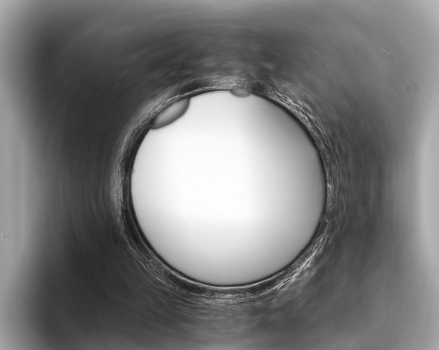 X0000094320149200711021119