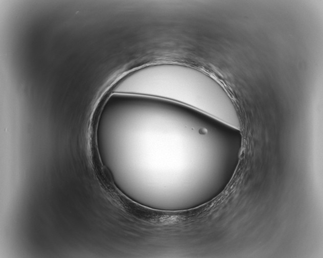 X0000094320152200711021119