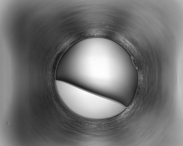 X0000094320158200711021119