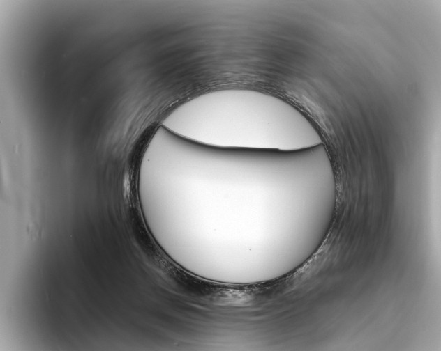 X0000094320166200711021119