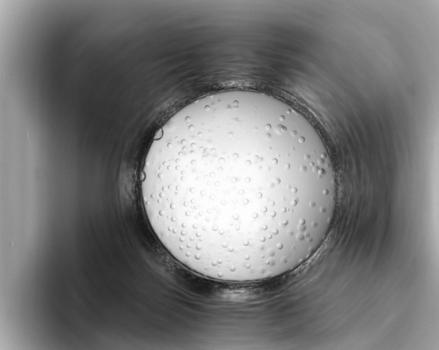 X0000094320171200711021119