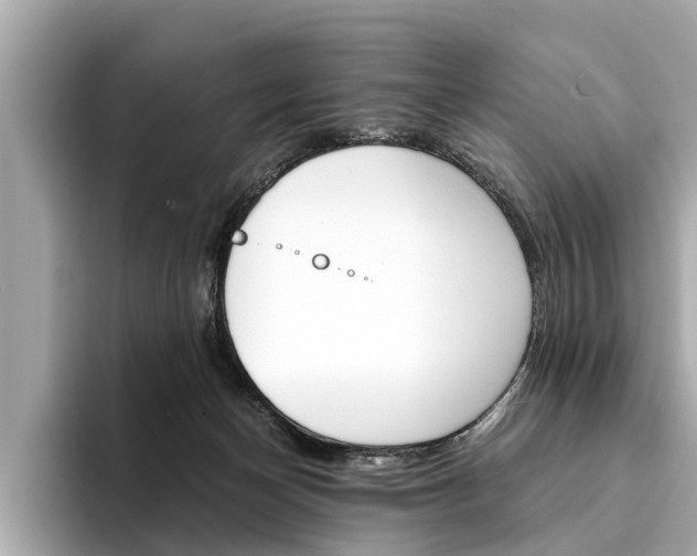X0000094320174200711021119
