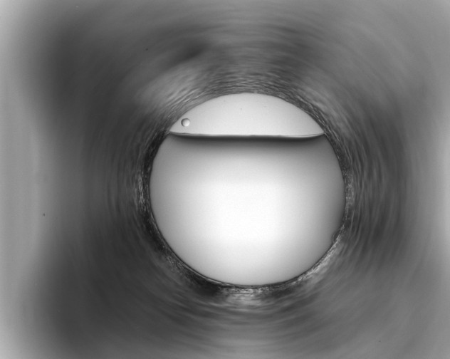 X0000094320182200711021119