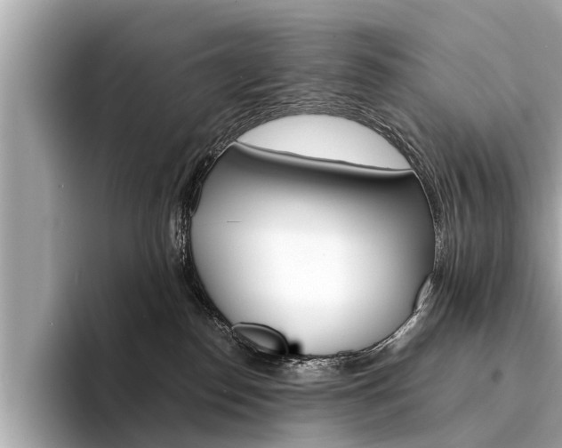 X0000094320186200711021119