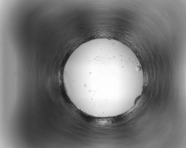 X0000094320187200711021119