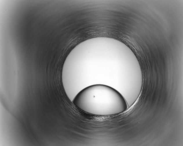 X0000094320190200711021120