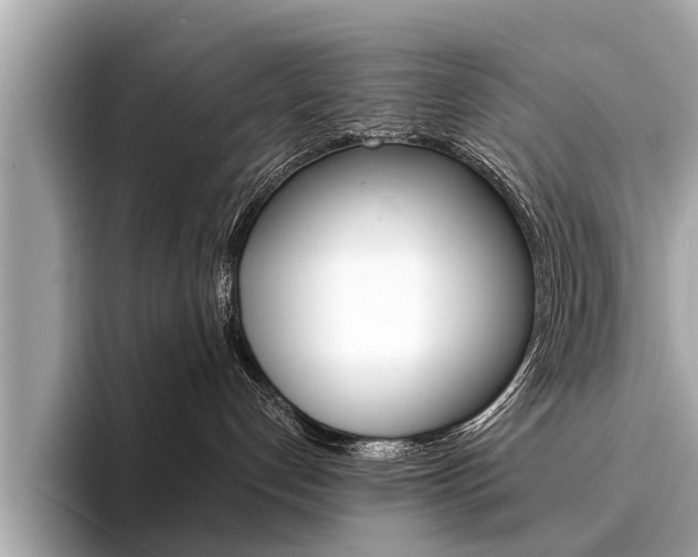 X0000094320192200711021120