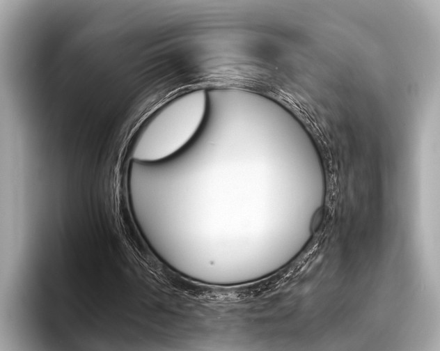 X0000094320194200711021119