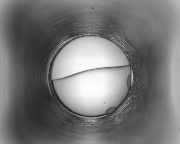 X0000094320195200711021119