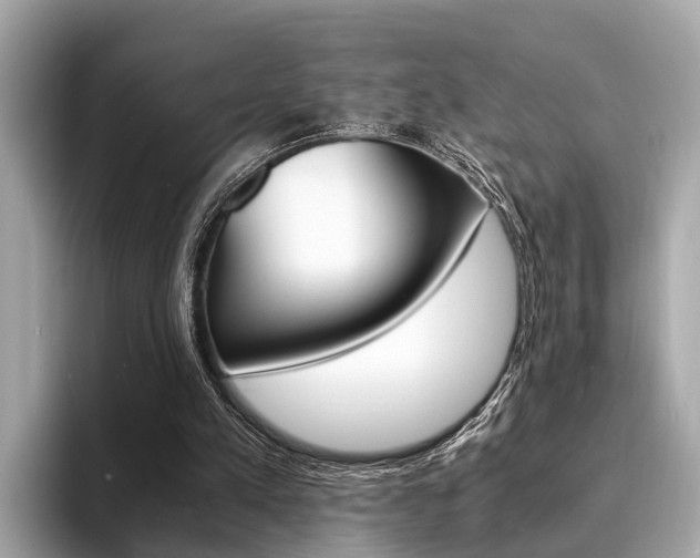 X0000094320197200711021119