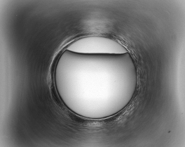 X0000094320198200711021119