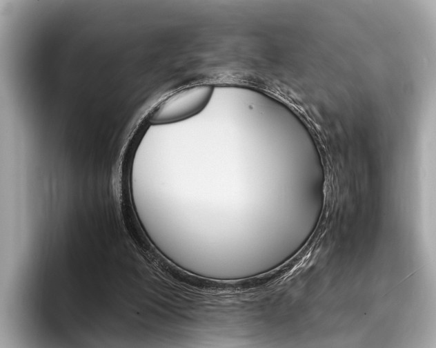 X0000094320200200711021119