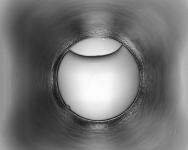 X0000094320202200711021119