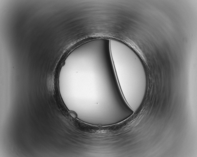 X0000094320204200711021119
