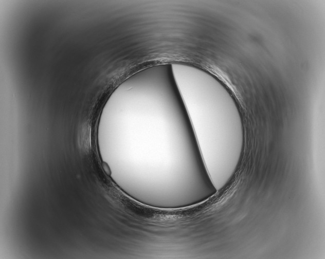 X0000094320205200711021119