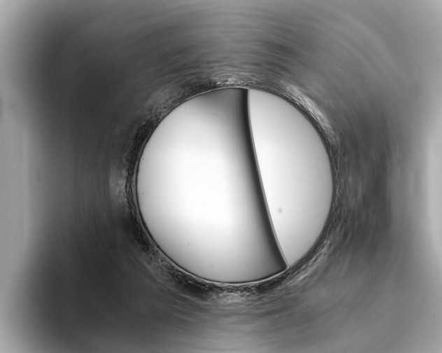 X0000094320209200711021119