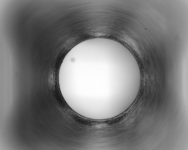 X0000094320210200711021119