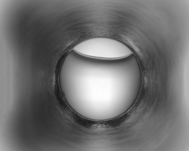 X0000094320211200711021119